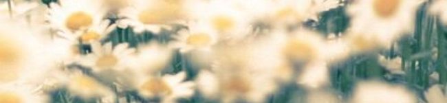 ChiCaCafe☆'s header image