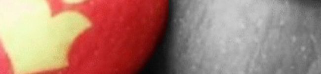 にゃー⁼̴̀꒳⁼̴́'s header image