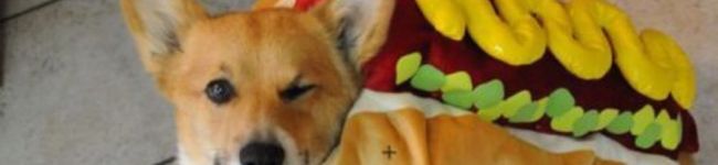 塩。's header image
