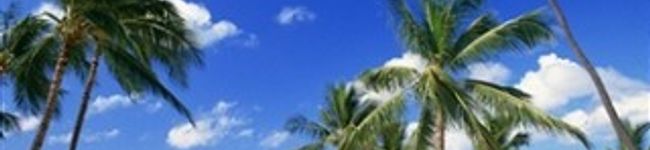 たかたかっち♪'s header image