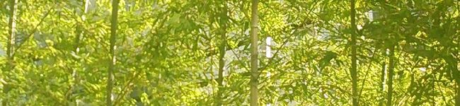 お手軽♪みーちゃん's header image