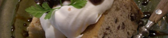 tacco1492's header image