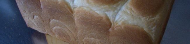 yamapom2's header image
