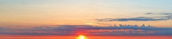 ※管理栄養士のたまご's header image