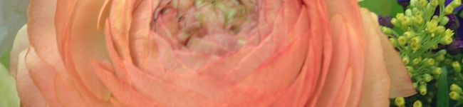 cobalie's header image