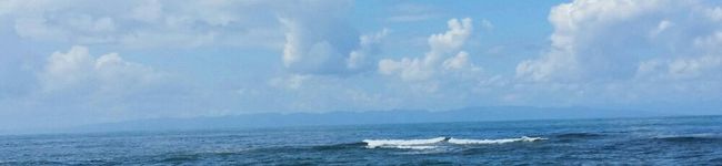 cocojk's header image