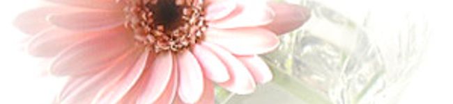 mako39's header image