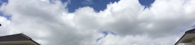 NSY's header image