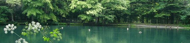marumiya's header image
