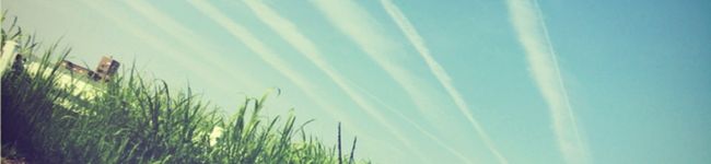 ぺーたろたんた's header image