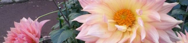 marika0921's header image