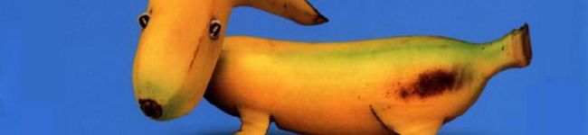 mmh-bri's header image