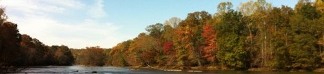 tute's header image