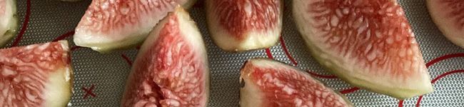morucook's header image