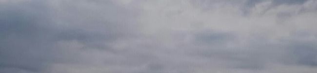 harujun33's header image