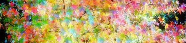 うっしぃー's header image