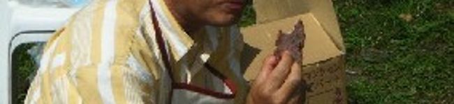 ｄａｌｉａｎｌｏｎｇ's header image