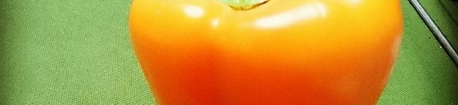 shinasu's header image