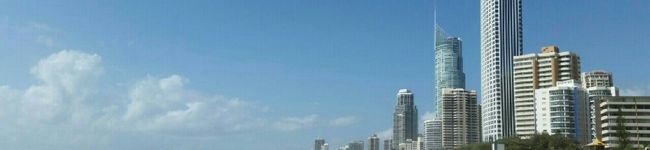 cyayu1102's header image