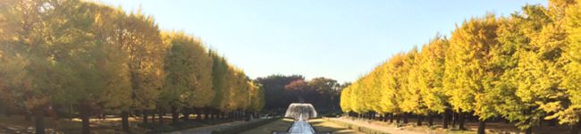 。＊SAORI＊。's header image
