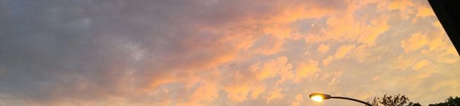 だらだらしたいタイプ's header image