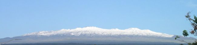 ハワイアンガール's header image