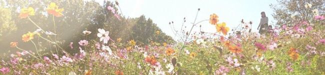 まいち〜's header image