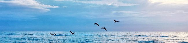 Saya’table's header image