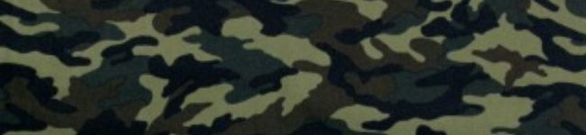 佐藤秀斗's header image