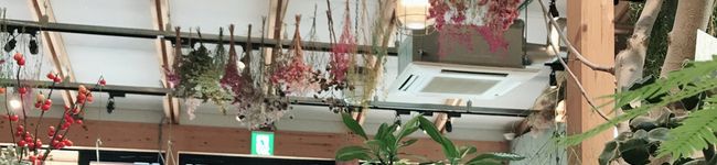 エコマリ's header image
