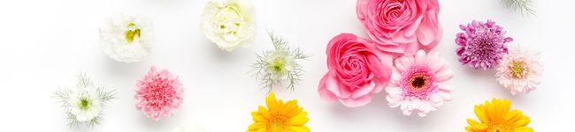 mito_'s header image
