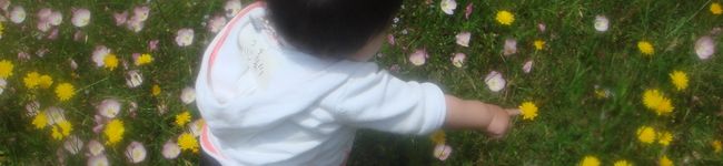 昼蝶ママ's header image