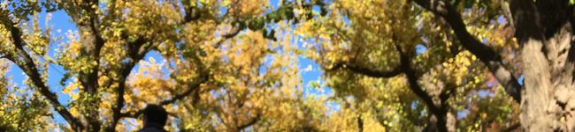 Azurinco's header image