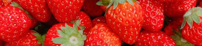 HaRuC0Ma's header image