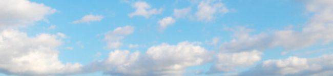 mayu_'s header image