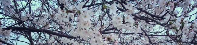 ☆すあま☆'s header image