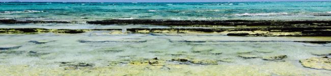 ちーやんyoga's header image