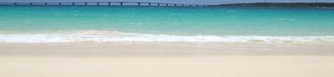 朋ネーネー's header image