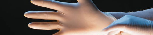 shalan's header image