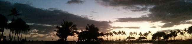 аоi's header image