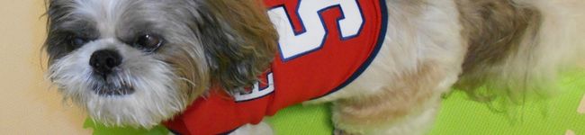 Eldred55's header image
