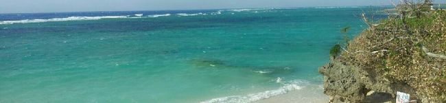 berissimo's header image