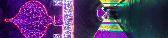 ムヤムヤ's header image