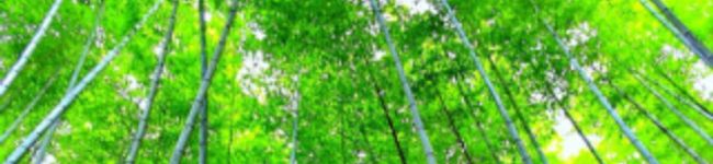 かずちほママ's header image