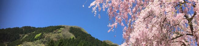 さあみち's header image