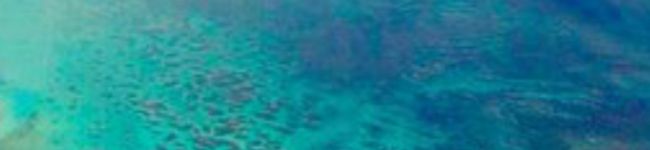 エトワー's header image