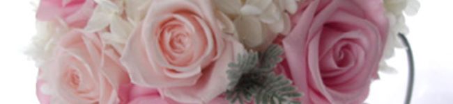 ハイハイ's header image