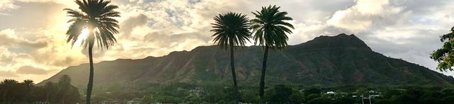 maezuchugaku's header image