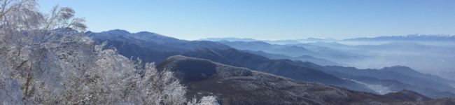 yokoari's header image