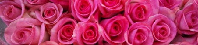 ponco39's header image